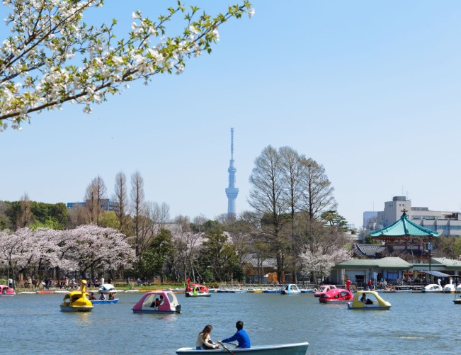 コーポ小林の画像