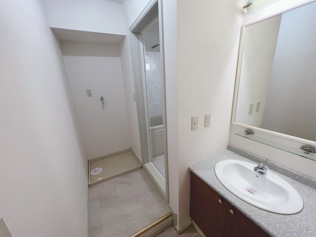 シティルミナスⅡの洗面所