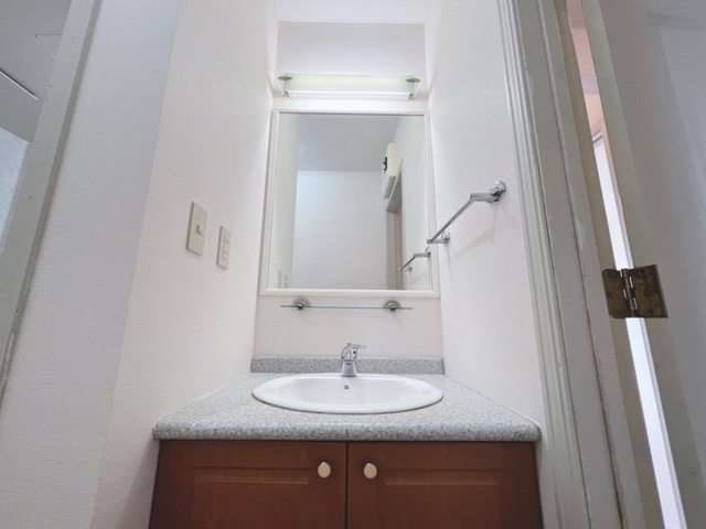 シティルミナスⅡの洗面所