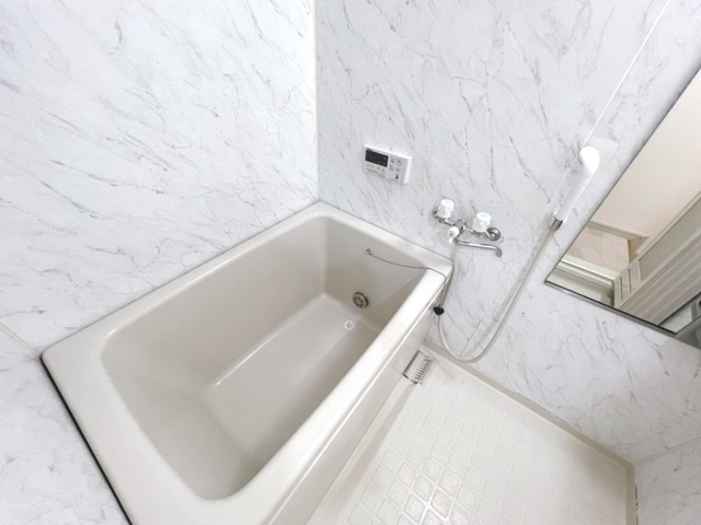 シティルミナスⅡの浴室