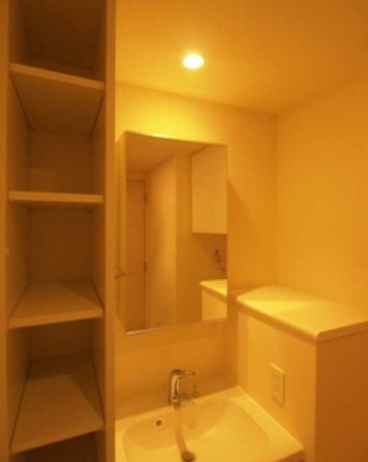 プライムメゾン早稲田　積水ハウス施工　ネット無料　オートロックの洗面所