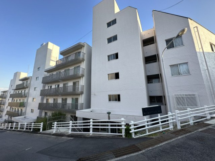 星ヶ丘アイリス南棟