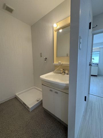 ザ・ライフ大塚の洗面所