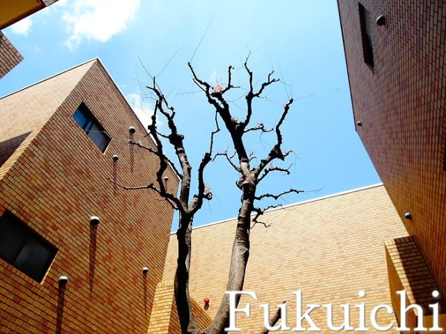 エレガン学芸大学のその他共用部分