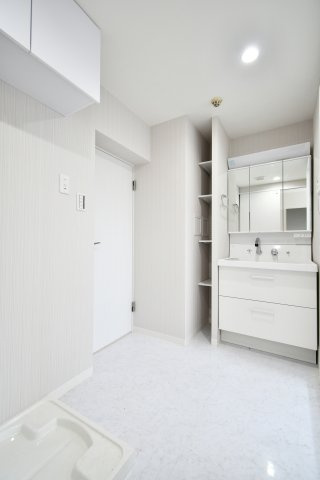 ライオンズマンション大宮吉野原の独立洗面台|身支度がはかどる洗面所、朝の渋滞を軽減する写真。シャワー付洗面化粧台で身支度も掃除もラクに、洗濯パン交換済(2025年12月)も安心材料。内覧で収納・採光・動線を確認ください。