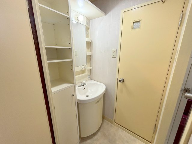 メゾンササキ2の洗面所