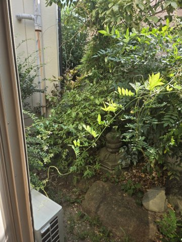 メゾンコーワの展望