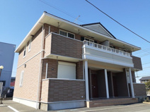 プラシードの画像