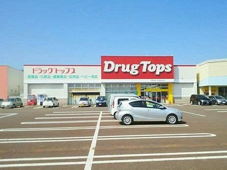 ラ　メゾン　ド　ソイエの周辺|ドラッグトップスまで100m