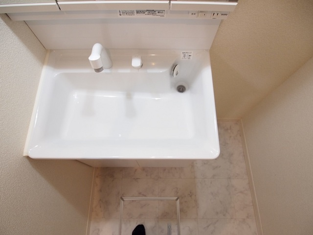 シャーメゾン龍田の洗面所