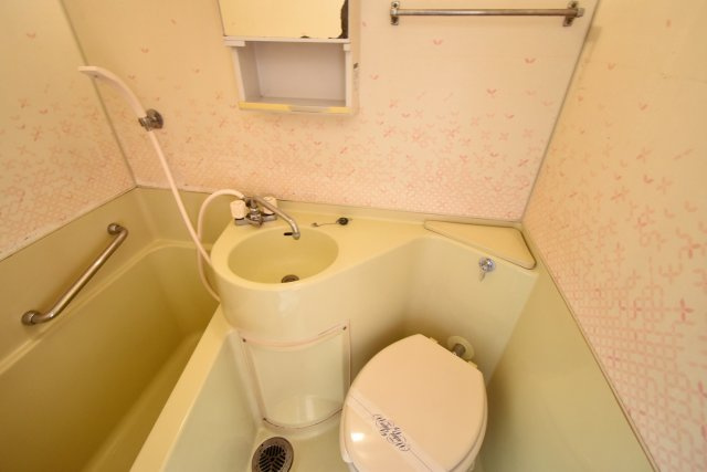 甲子園ピースの洗面所