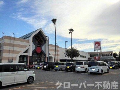 【周辺】 | エール | マルナカパワーシティ丸亀店まで1700m