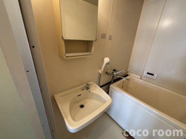 プレジールオオクラBの洗面所