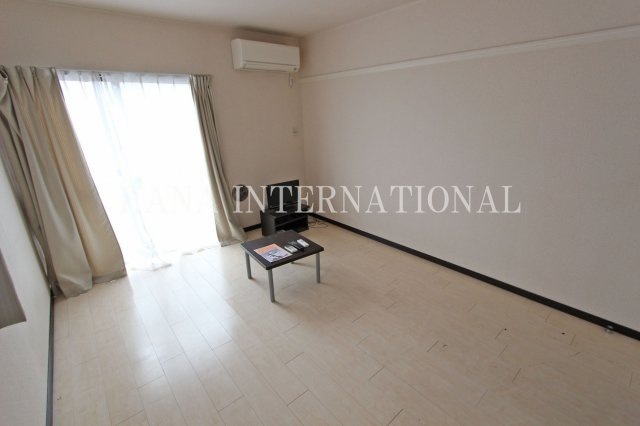 レオネクストブラザーズハイツの居間・リビング|角部屋写真使用