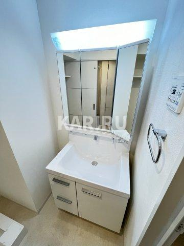 ベルンガーデン勝山北 の洗面所