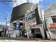 ノアムールセイキの画像