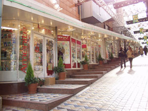 ハーモニーテラス北新宿Ⅱの周辺