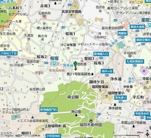 ザ・パークハウス桜坂サンリヤンの地図|地図