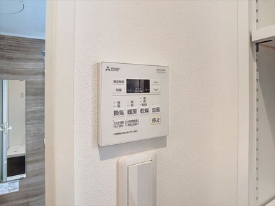 【その他】 | ラフテル白金 | その他