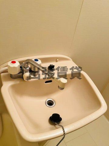 仲介手数料0円！！アイリス・コートの洗面所