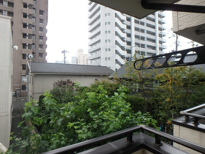 マロン・クレール　の展望