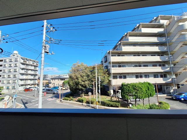 プリムローズの展望
