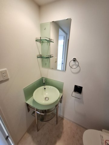 セレニテ甲子園Ⅱの洗面所