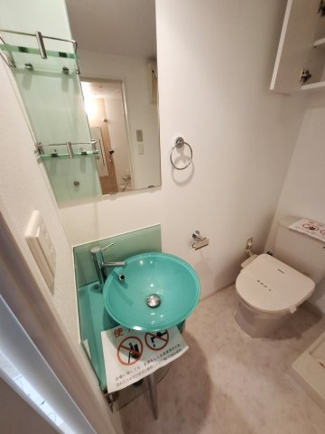 セレニテ甲子園Ⅱの洗面所