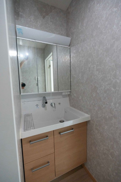 墨田区立花２丁目の戸建の独立洗面台