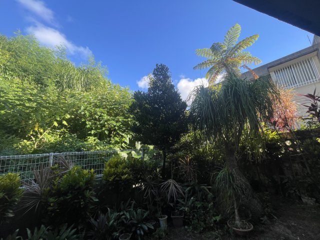 リヴィアンスエーゼット