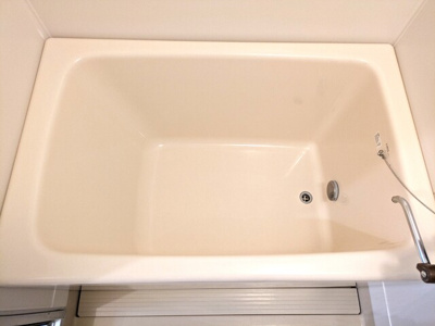 バス