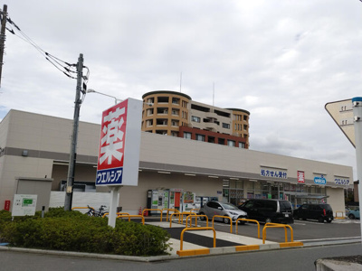 ウエルシア平塚中原店まで450ｍ