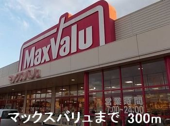 【周辺】 | サニー青山 | マックスバリュまで300m