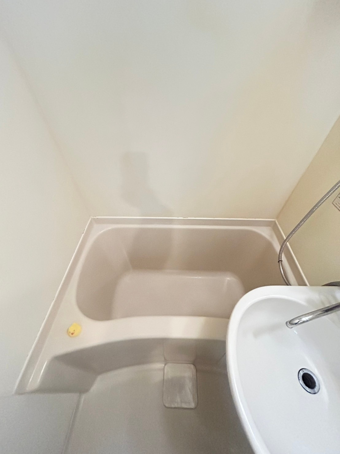 ダンディライオン灘の浴室