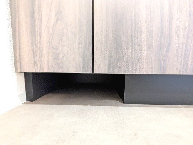 BRANSIESTA上野の設備|トイレと独立した洗面室、洗面台下にヘルスメーターストックスペースあります