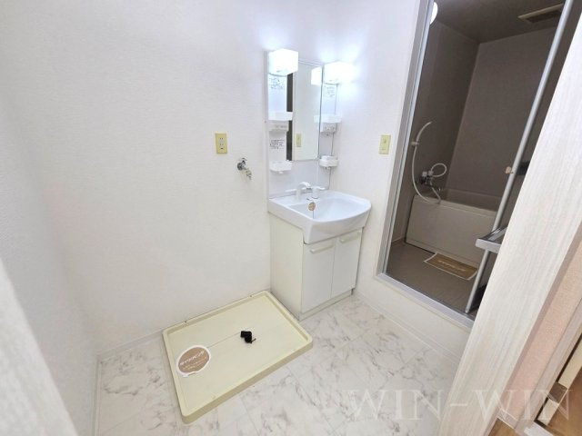 フレグランス三ツ相 C棟の洗面所