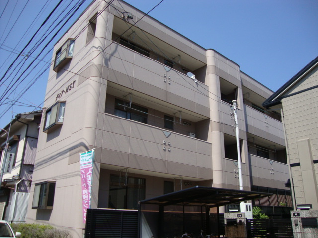 ディア・ＭＳＴ