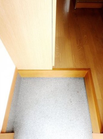 ジュライのその他