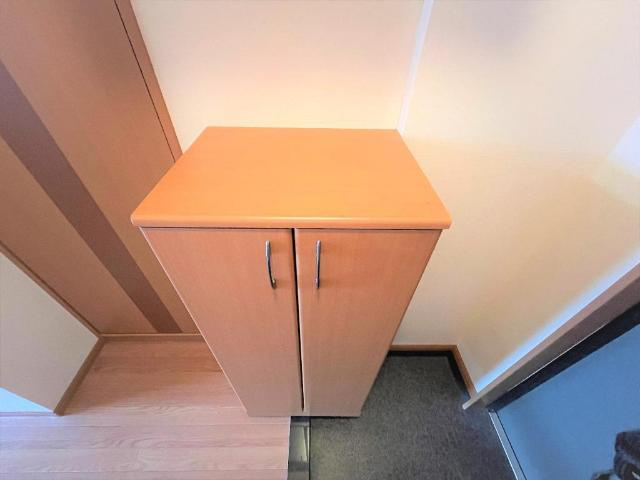 プランドールソフィアの収納|収納