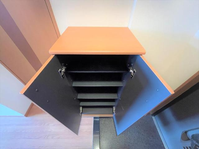 プランドールソフィアの玄関|玄関