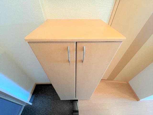 サンタプレイスの玄関|玄関