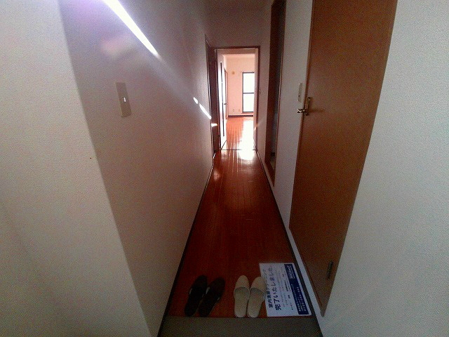 パロス135のその他