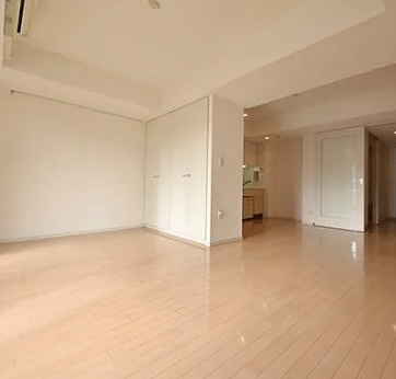 パークフラッツ銀座イーストの居間・リビング