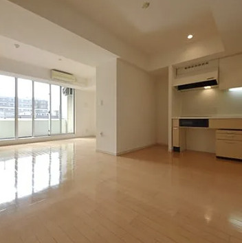 パークフラッツ銀座イーストの居間・リビング