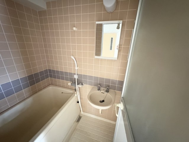 ルミエール市川の洗面所