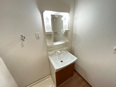 【洗面所】 | フォレスト・ヴィラ | 洗髪洗面化粧台（イメージ）