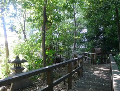 【周辺】 | パールフラッツ