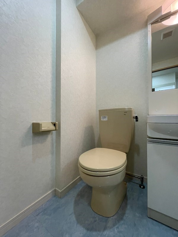 グレイスシャトー王子のトイレ