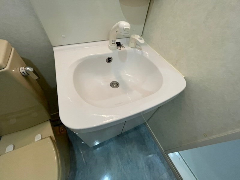 グレイスシャトー王子の洗面所