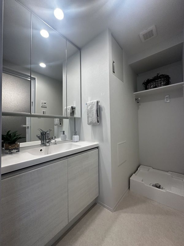 ONE ROOF RESIDENCE NISHINIPPORI の独立洗面台